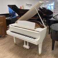 Gebruikte, Kawai, GM-10