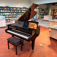 Grotrian Steinweg 189 