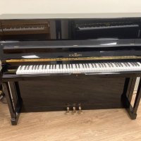 Gebruikte, Schimmel, W 118 Tradition