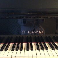 Används, Kawai, RX-2