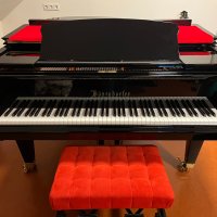 Används, Bösendorfer, 200