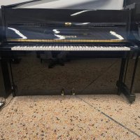 Usado, C. Bechstein, 12n