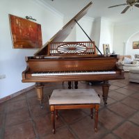 Used, C. Bechstein, VI 183