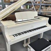 Occasion, Sauter, Alpha 160