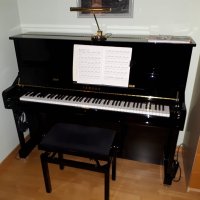 Usato, Yamaha, U1 TA2