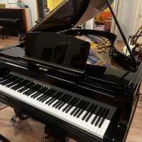 Gebraucht, Blüthner, Style 9