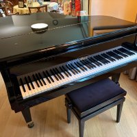 Używany, Ibach, 170