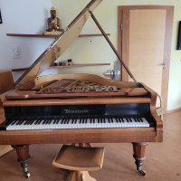 Usado, Bosendorfer, 170