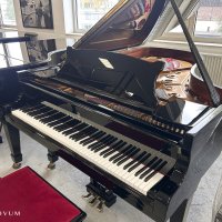 Gebruikte, Steinway & Sons, B-211