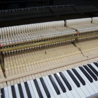 Used, Steinway & Sons, B-211