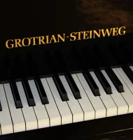 Usato, Grotrian Steinweg, Chambre (165)