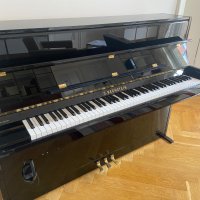 Occasion, C. Bechstein, A 114