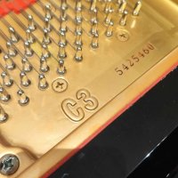 Occasion, Yamaha, C3