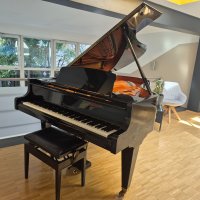 Usato, Bosendorfer, 200