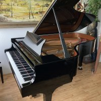 Usato, Steinway & Sons, B-211