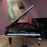 Nowy, Bosendorfer, 230VC