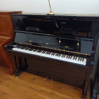 Occasion, Steinway & Sons, K-132 (52)