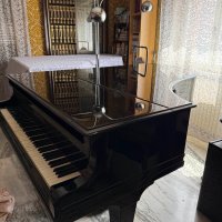 Usato, C. Bechstein, A 190 (B 190)