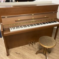 Gebraucht, Schimmel, Andere