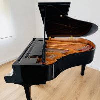 Gebruikte, Yamaha, C2