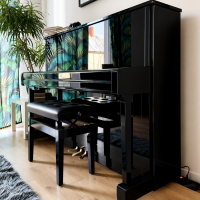 Gebruikte, Yamaha, Andere