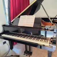 Używany, Yamaha, C3L
