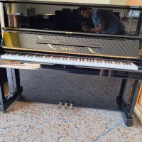 Usado, Yamaha, YUS1