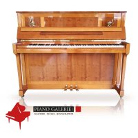 Gebruikte, Schimmel, W 118 Tradition