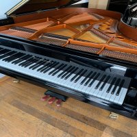 Usato, Bosendorfer, 200