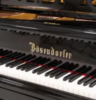 Occasion, Bosendorfer, Liszt