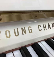 Używany, Young Chang, U-118