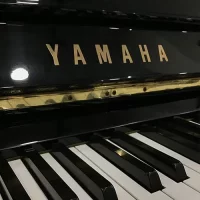 Usado, Yamaha, C110A