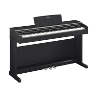 Nowy, Yamaha, YDP-144