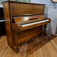 Occasion, Steinway & Sons, K-132 (52)