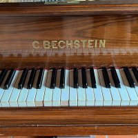 Gebruikte, C. Bechstein, A 208 (B 208)