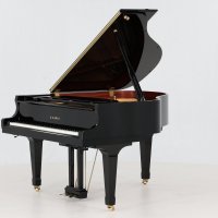 Usado, Kawai, GX-1