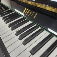 Occasion, Rippen, Belcanto (115)
