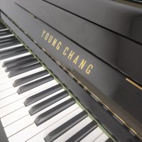 Usato, Young Chang, U-131