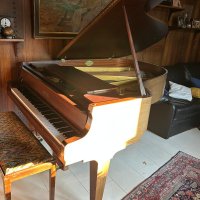 Usato, Pleyel, 3bis (180)