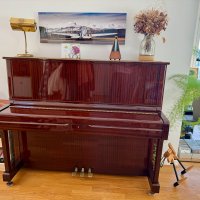 Usado, Yamaha, U1A