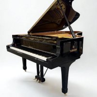 Occasion, Yamaha, C6