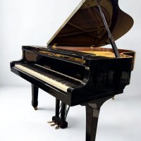 Occasion, Yamaha, C5