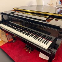 Używany, Yamaha, GP1