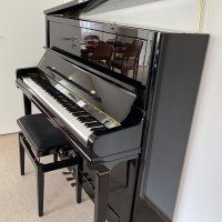 Occasion, Schimmel, K 132 Tradition