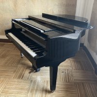 Gebraucht, Petrof, P 173 Breeze (IV)