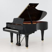 Gebruikte, Yamaha, S6