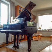 Gebraucht, Steinway & Sons, B-211
