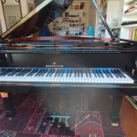 Usado, C. Bechstein, A 160 (B 160)