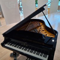 Używany, Shigeru Kawai, SK-3