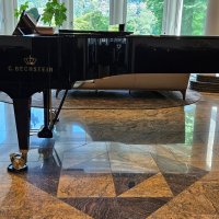 Używany, C. Bechstein, D 282